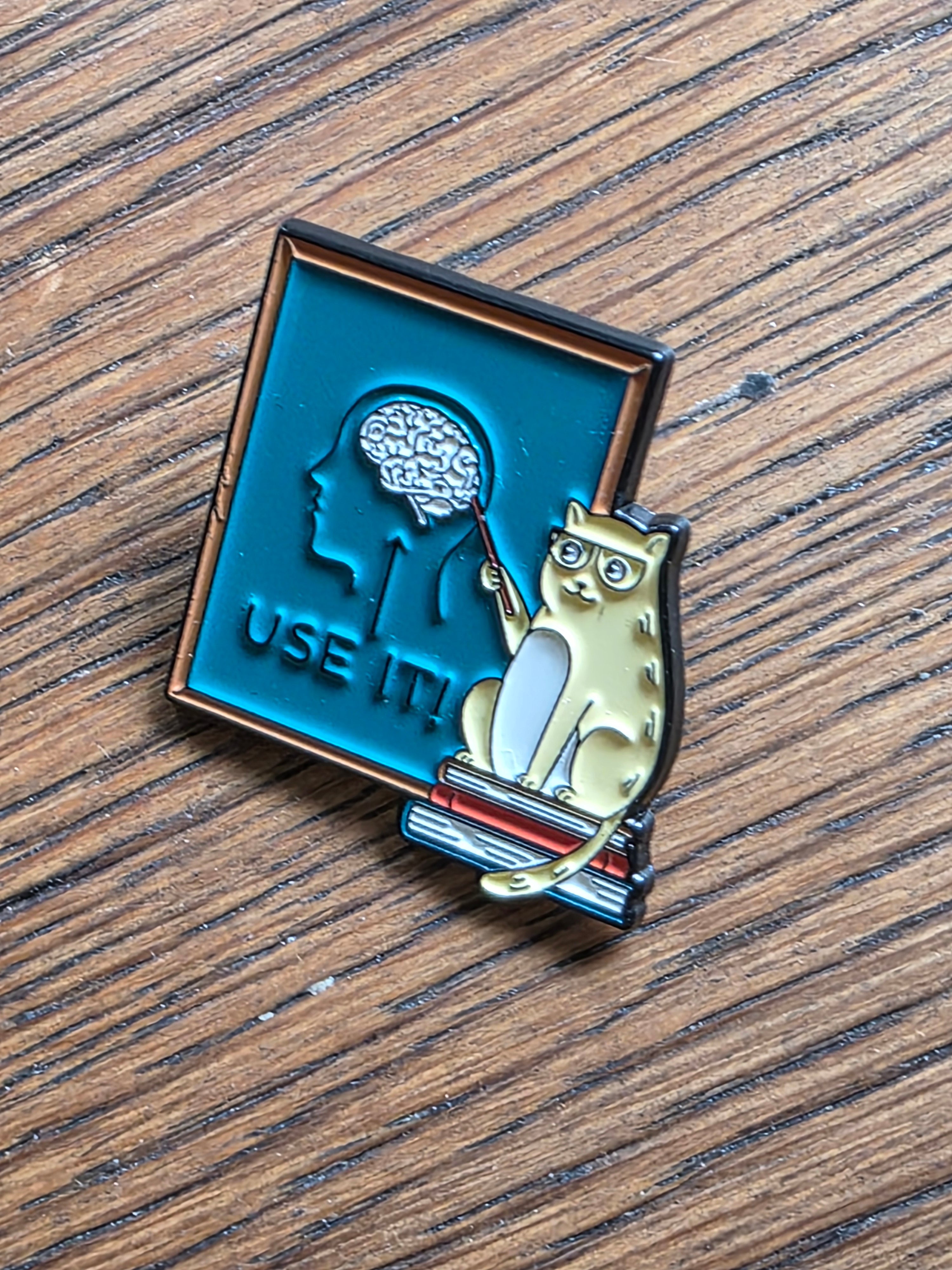 Cat teacher "use it!" (Brain) - Pin badge