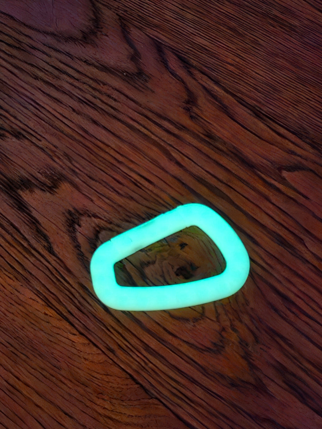 Glow in the Dark Carabiner