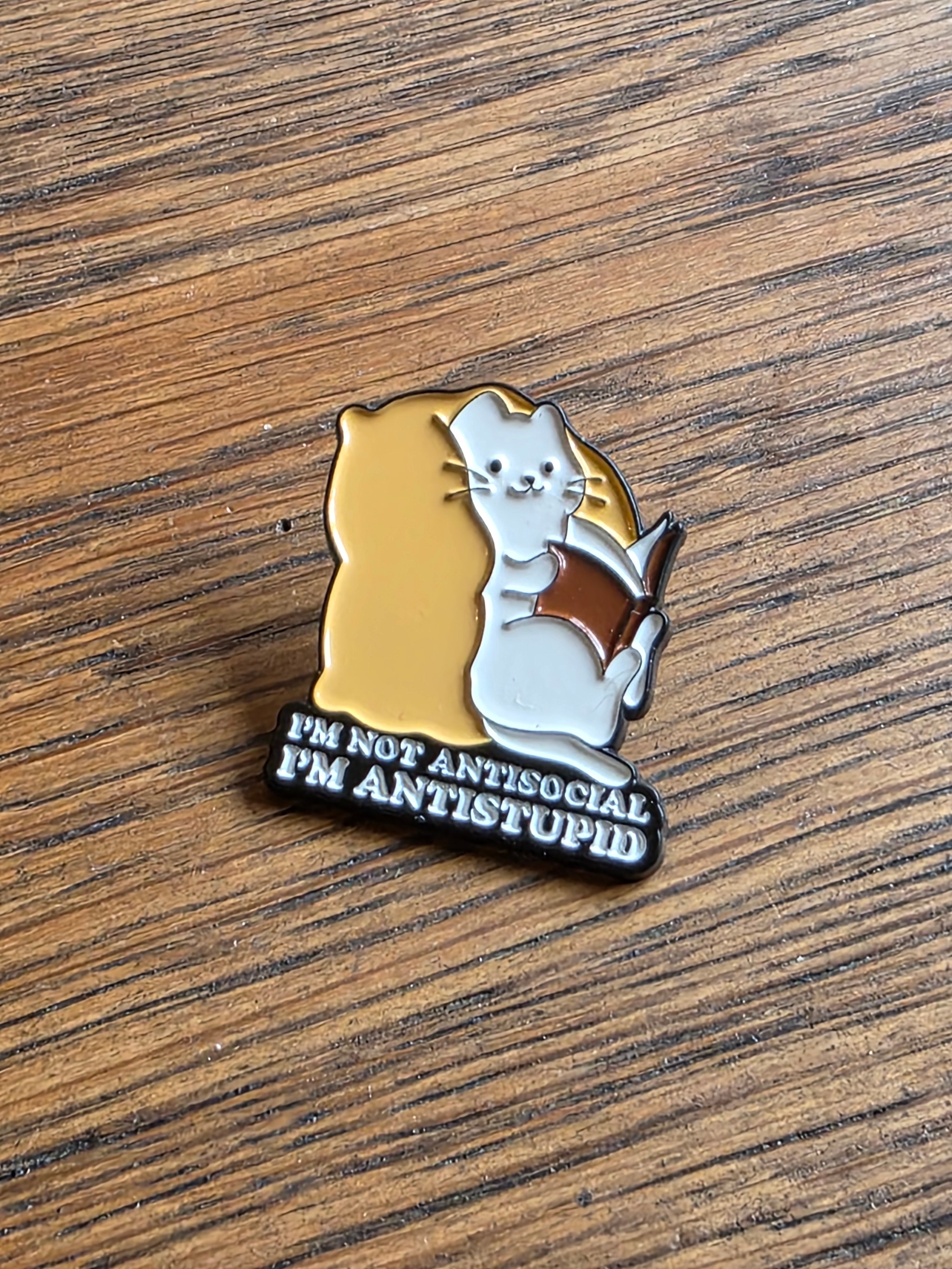 I'm not antisocial, I'm antistupid - Pin badge